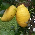 Jasmin Bed & Breakfast Merano
