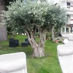 Jasmin 3*