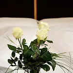 Jasmin Отель типа 