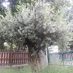 Bed & Breakfast Jasmin 3*