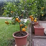 Jasmin 3* Мерано