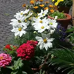 Bed & Breakfast Jasmin 3*