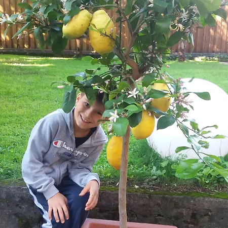 Jasmin Alojamento de Acomodação e Pequeno-almoço 3*
