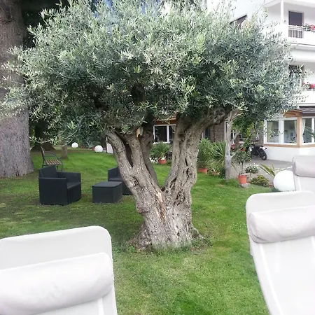 Jasmin 3*