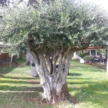 Jasmin فندق مبيت وإفطار
