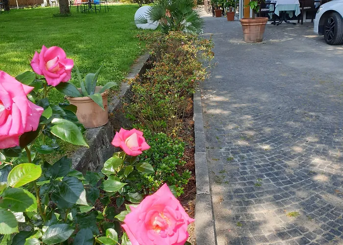 Jasmin Nocleg ze śniadaniem