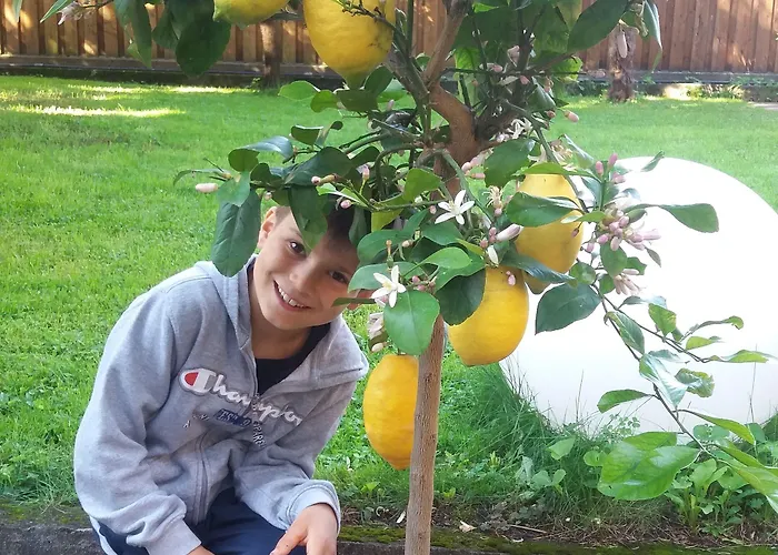 Jasmin Bed & Breakfast 3*