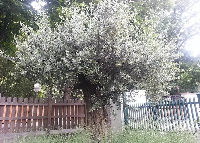 Nocleg ze śniadaniem Jasmin 3*