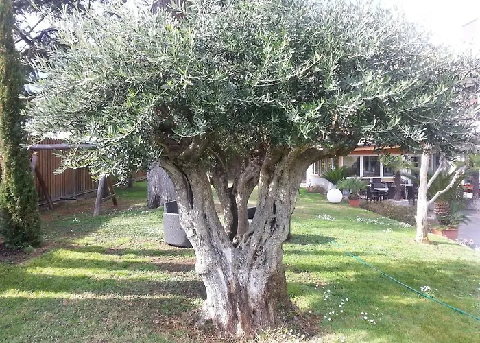 Jasmin Frühstückspension